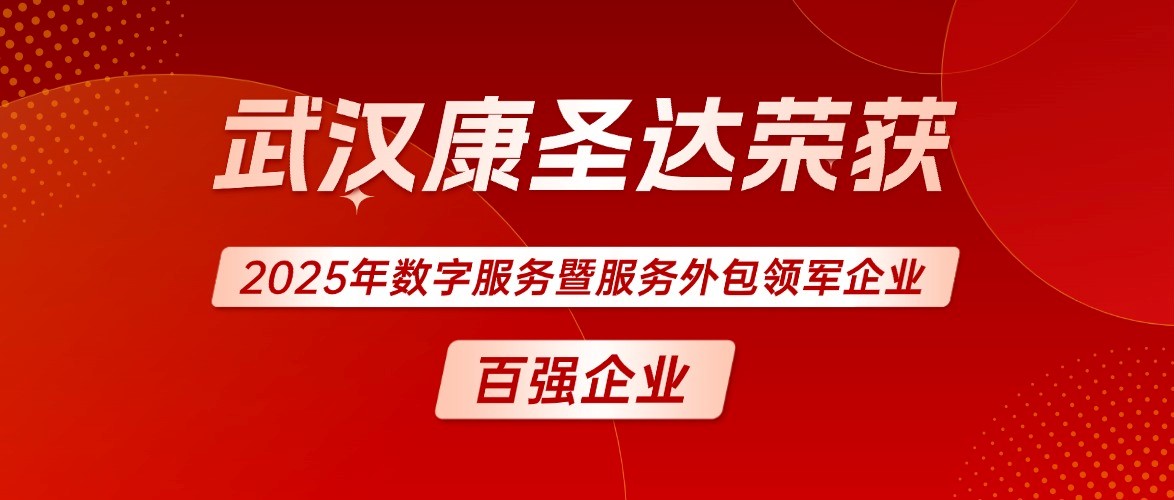 武汉康圣达荣获2025 数字服务暨服务外包领军企业